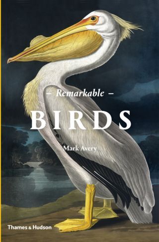 Remarkable Birds 